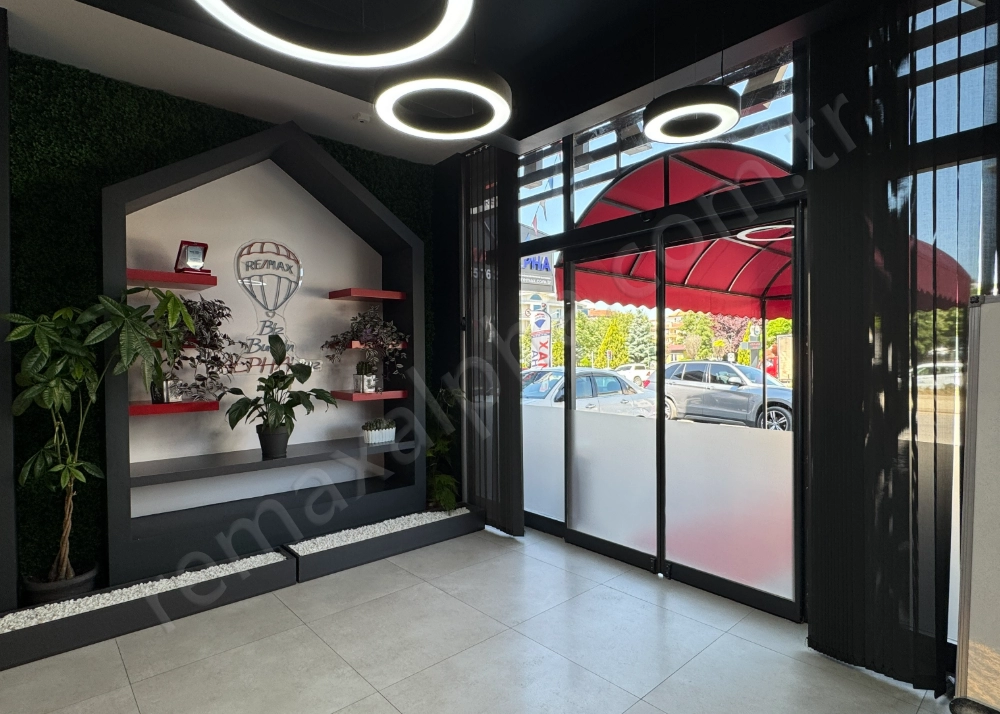 REMAX ALPHA 3